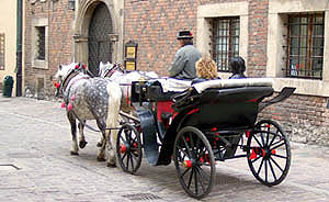 Touring old Krakow's streets in a carriage (Kanonicza street)