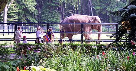 Krakow Zoo